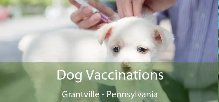 Dog Vaccinations Grantville - Pennsylvania