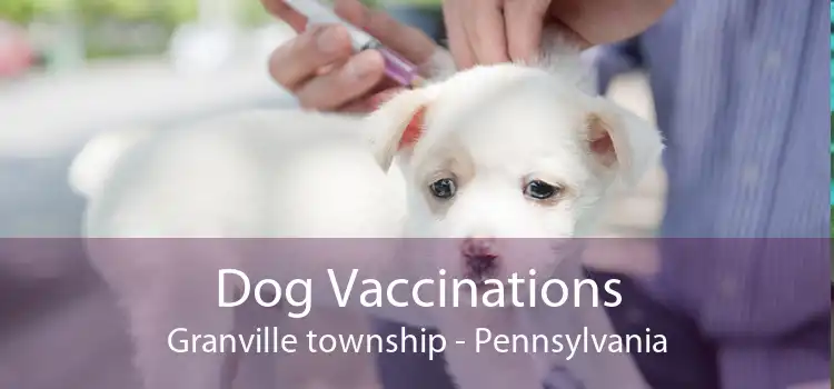 Dog Vaccinations Granville township - Pennsylvania