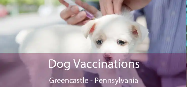Dog Vaccinations Greencastle - Pennsylvania