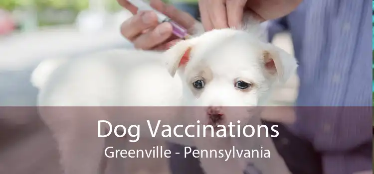 Dog Vaccinations Greenville - Pennsylvania