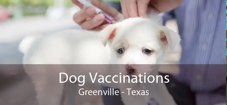 Dog Vaccinations Greenville - Texas