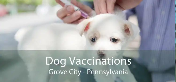 Dog Vaccinations Grove City - Pennsylvania