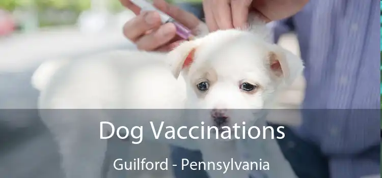 Dog Vaccinations Guilford - Pennsylvania