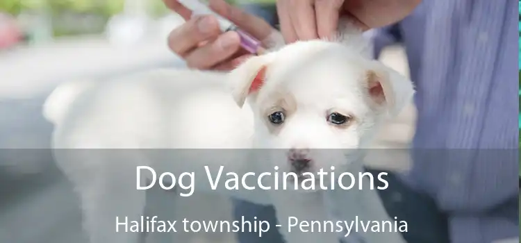 Dog Vaccinations Halifax township - Pennsylvania