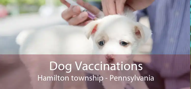 Dog Vaccinations Hamilton township - Pennsylvania