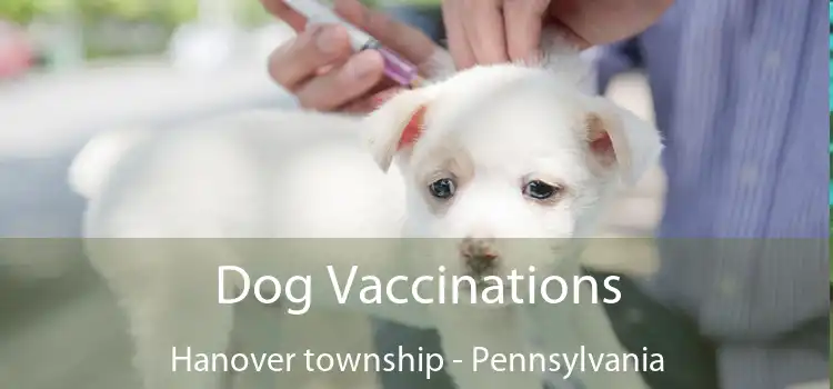 Dog Vaccinations Hanover township - Pennsylvania