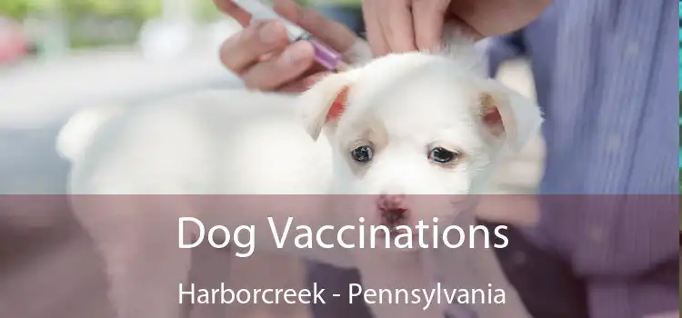 Dog Vaccinations Harborcreek - Pennsylvania