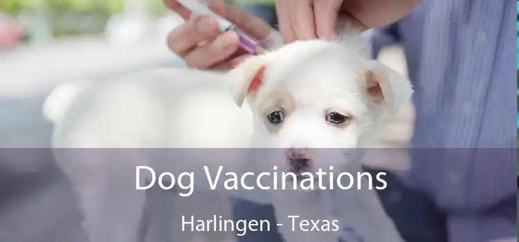 Dog Vaccinations Harlingen - Texas