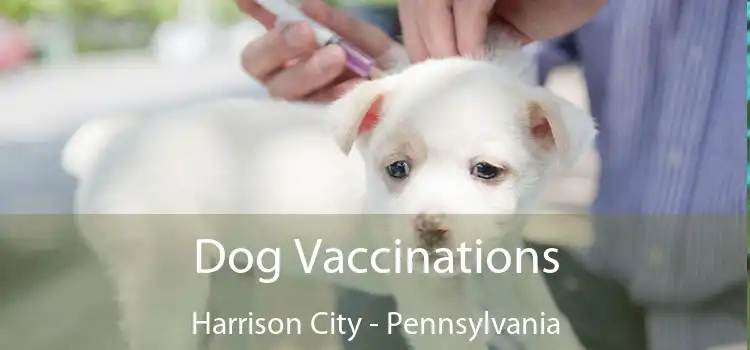 Dog Vaccinations Harrison City - Pennsylvania