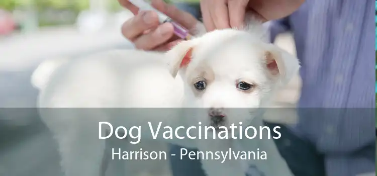 Dog Vaccinations Harrison - Pennsylvania
