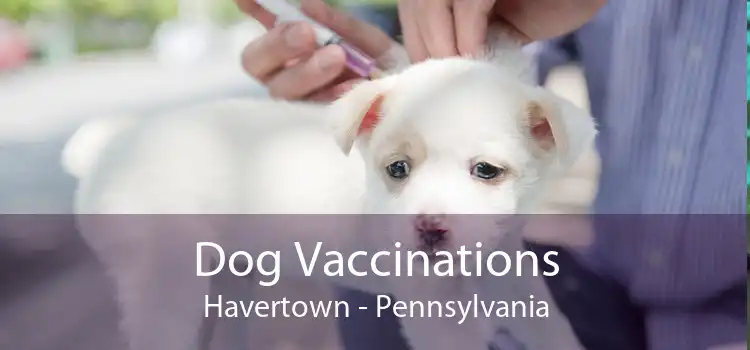 Dog Vaccinations Havertown - Pennsylvania