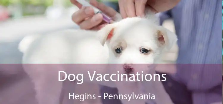 Dog Vaccinations Hegins - Pennsylvania