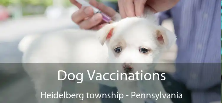 Dog Vaccinations Heidelberg township - Pennsylvania