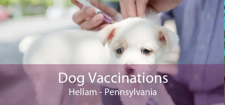 Dog Vaccinations Hellam - Pennsylvania