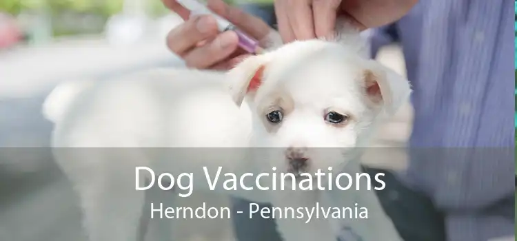 Dog Vaccinations Herndon - Pennsylvania