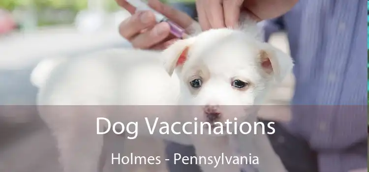 Dog Vaccinations Holmes - Pennsylvania