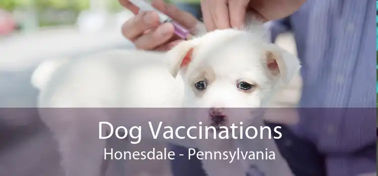 Dog Vaccinations Honesdale - Pennsylvania