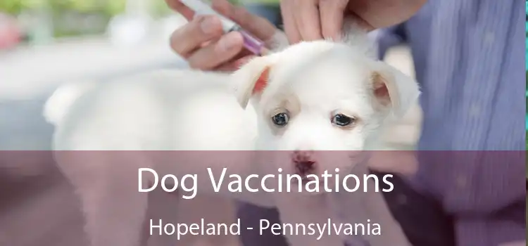 Dog Vaccinations Hopeland - Pennsylvania