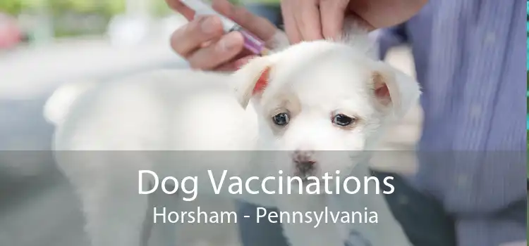 Dog Vaccinations Horsham - Pennsylvania