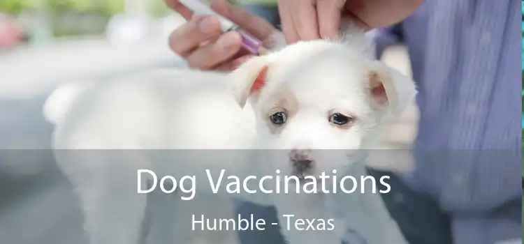 Dog Vaccinations Humble - Texas