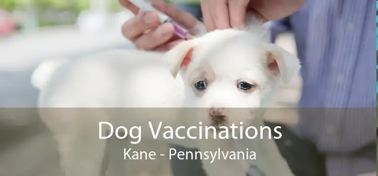 Dog Vaccinations Kane - Pennsylvania