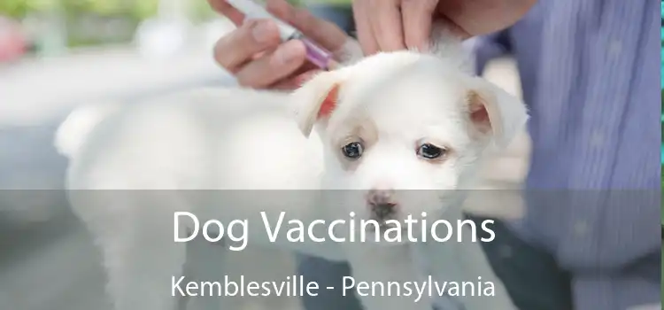 Dog Vaccinations Kemblesville - Pennsylvania