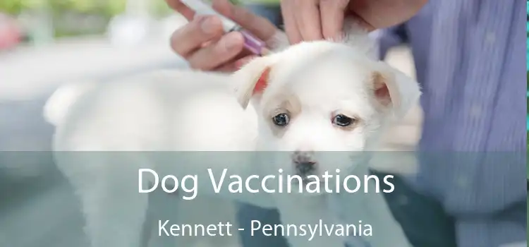 Dog Vaccinations Kennett - Pennsylvania