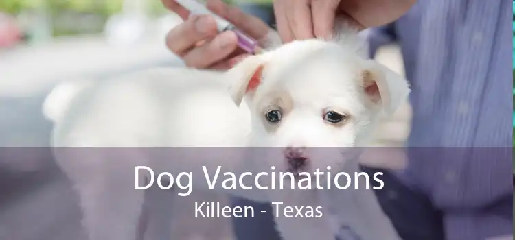 Dog Vaccinations Killeen - Texas