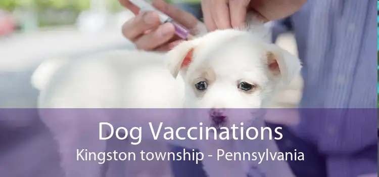 Dog Vaccinations Kingston township - Pennsylvania