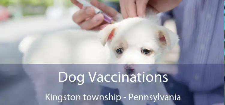 Dog Vaccinations Kingston township - Pennsylvania