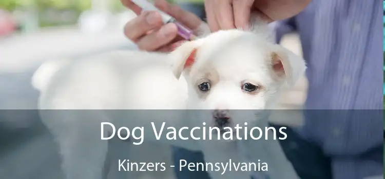 Dog Vaccinations Kinzers - Pennsylvania