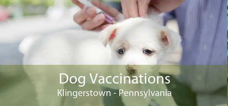 Dog Vaccinations Klingerstown - Pennsylvania