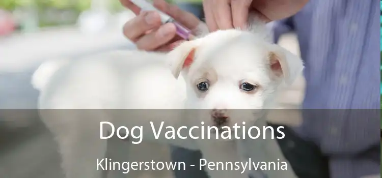 Dog Vaccinations Klingerstown - Pennsylvania