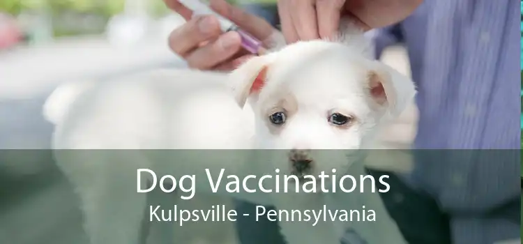 Dog Vaccinations Kulpsville - Pennsylvania
