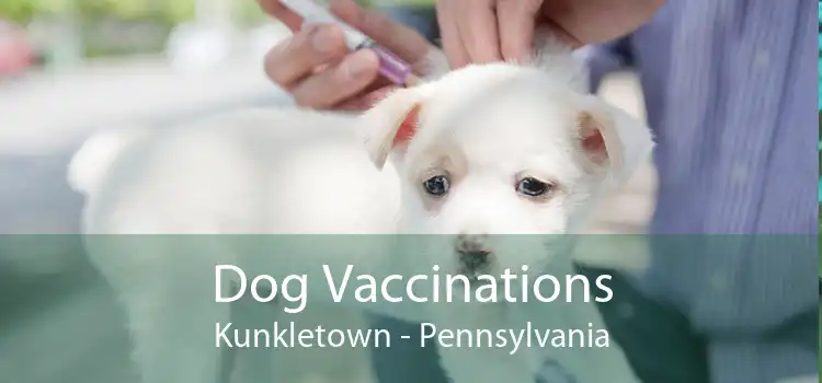 Dog Vaccinations Kunkletown - Pennsylvania