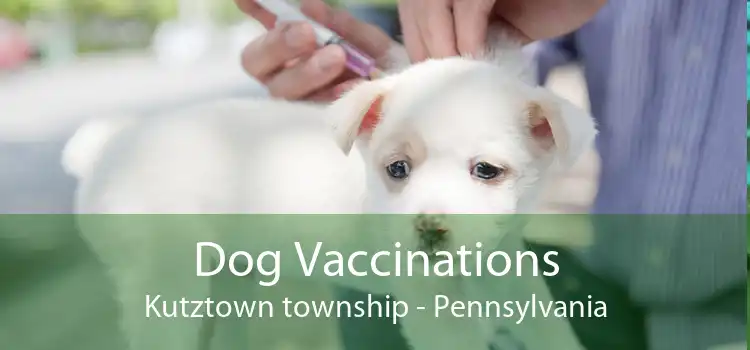 Dog Vaccinations Kutztown township - Pennsylvania