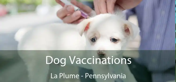 Dog Vaccinations La Plume - Pennsylvania