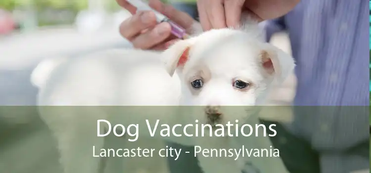 Dog Vaccinations Lancaster city - Pennsylvania
