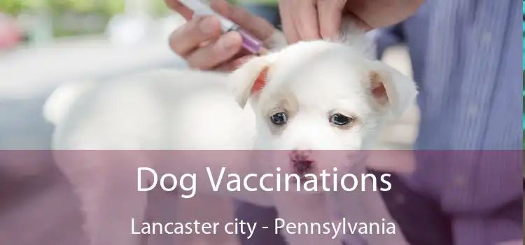 Dog Vaccinations Lancaster city - Pennsylvania