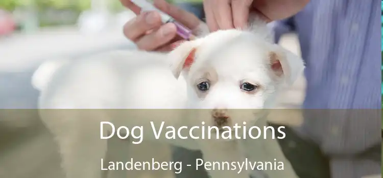 Dog Vaccinations Landenberg - Pennsylvania