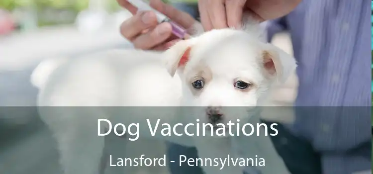 Dog Vaccinations Lansford - Pennsylvania