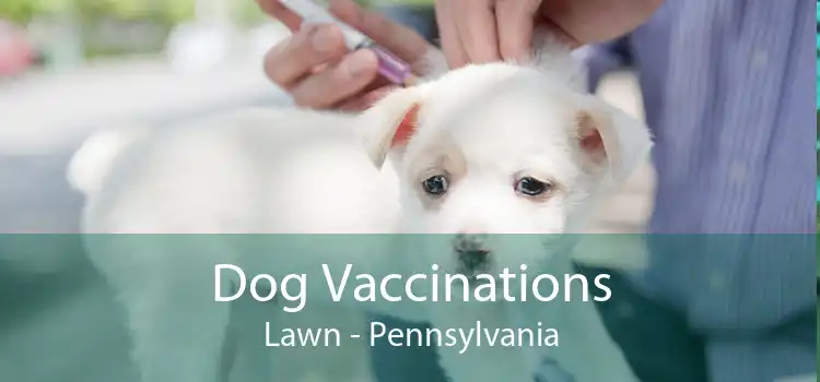 Dog Vaccinations Lawn - Pennsylvania