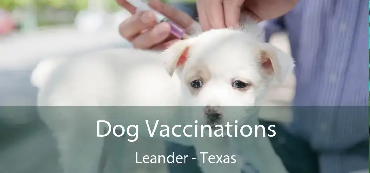 Dog Vaccinations Leander - Texas