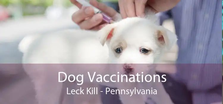 Dog Vaccinations Leck Kill - Pennsylvania