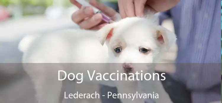 Dog Vaccinations Lederach - Pennsylvania