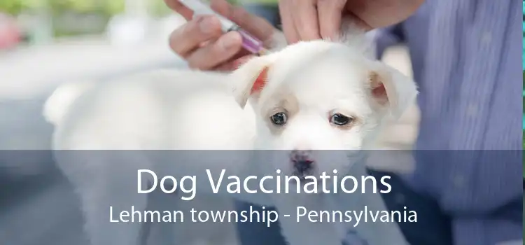 Dog Vaccinations Lehman township - Pennsylvania