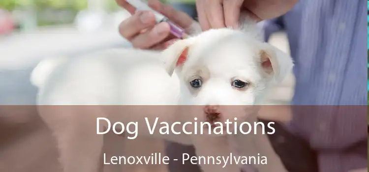 Dog Vaccinations Lenoxville - Pennsylvania