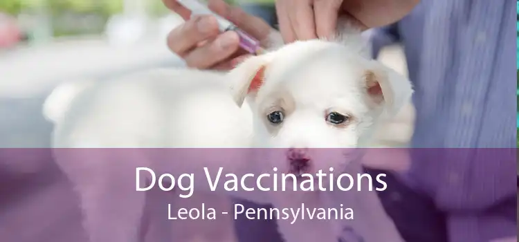 Dog Vaccinations Leola - Pennsylvania