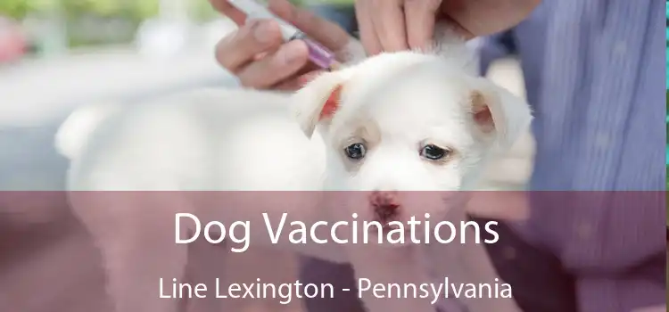 Dog Vaccinations Line Lexington - Pennsylvania