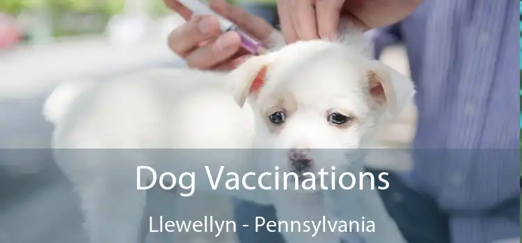 Dog Vaccinations Llewellyn - Pennsylvania